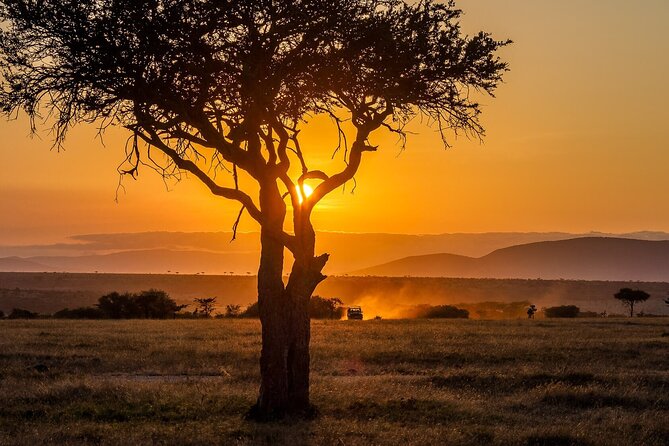 3 Days 2 Nights Maasai Mara National Reserve Joining Safari - Price and What $600 Really Buys for a 3-Day Maasai Mara Safari