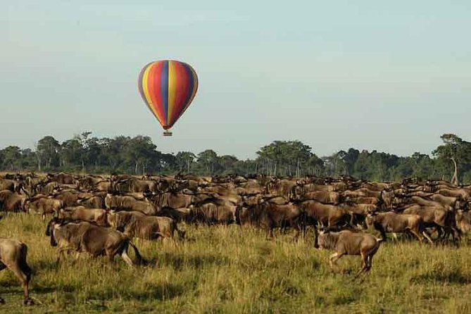 3 Days 2 Nights Masai Mara Joining Safari From Nairobi - Price and Logistics: What $500 Covers, and What to Budget for