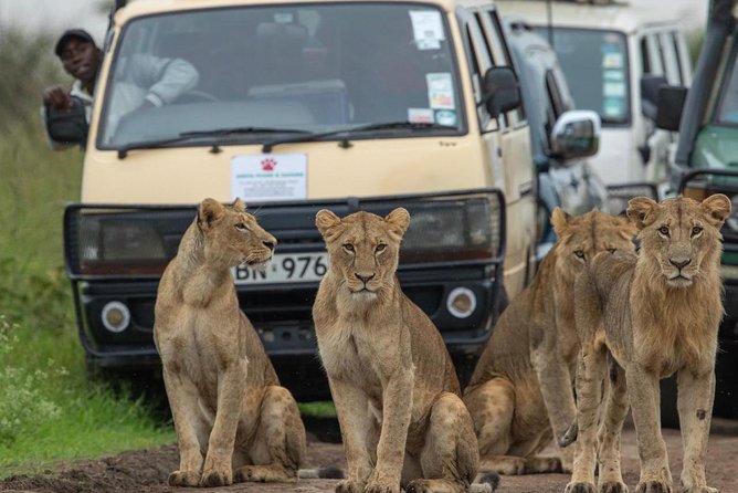 3 Days 2 Nights Masai Mara Joining Safari From Nairobi - The Open-Top 4x4 Safari Experience That Actually Changes How You See Animals