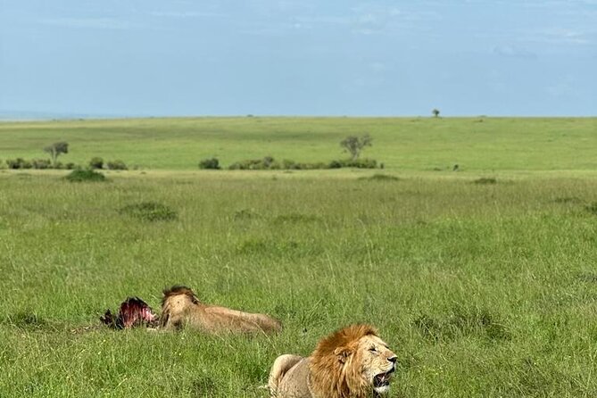 3 Days 2 Nights Masai Mara Road Transport Safari - Road to Masai Mara: the practical setup from Nairobi
