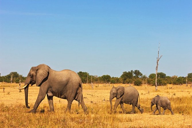 3 Days, 2 Nights Safari - Amboseli National Park and Tsavo West Adventure Safari - From Diani at 5:30 am: what the timing really feels like