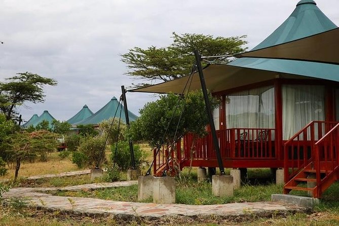 3 days, 2 nights safari to Amboseli National park from Nairobi - Day 2 Morning: Kilimanjaro Chances, Viewpoints, and Swaps Between Wildlife and Breaks