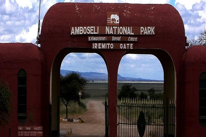 3 days, 2 nights safari to Amboseli National park from Nairobi - Day 2 Down Time: Walking the Park, Swimming, and Then Going Back for Evening Light