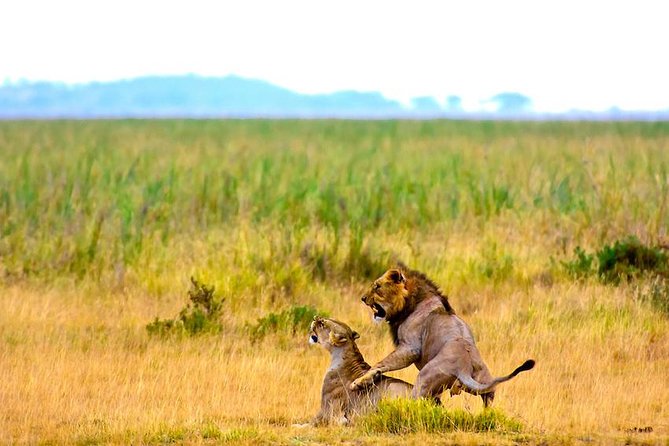 3 days, 2 nights safari to Amboseli National park from Nairobi - Guides Like Black Santa, Tony, Sana, and Ramah Make the Difference
