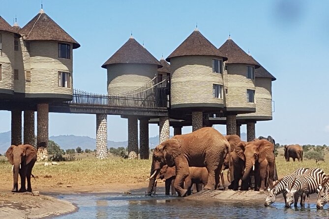 3 Days 2 Nights Safari to Saltlick Lodge from Nairobi - Key highlights you’ll care about
