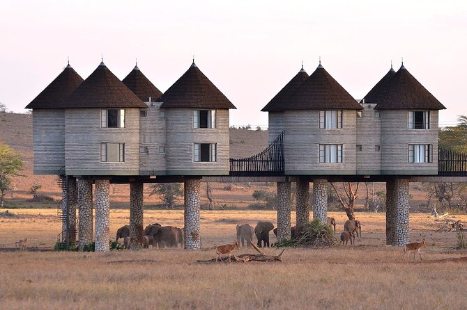 3 Days 2 Nights Safari to Saltlick Lodge from Nairobi - The Nairobi to Tsavo route, and why you’ll leave early