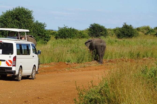 3 Days 2 Nights Safari to Saltlick Lodge from Nairobi - The customized safari van and the driver-guide difference