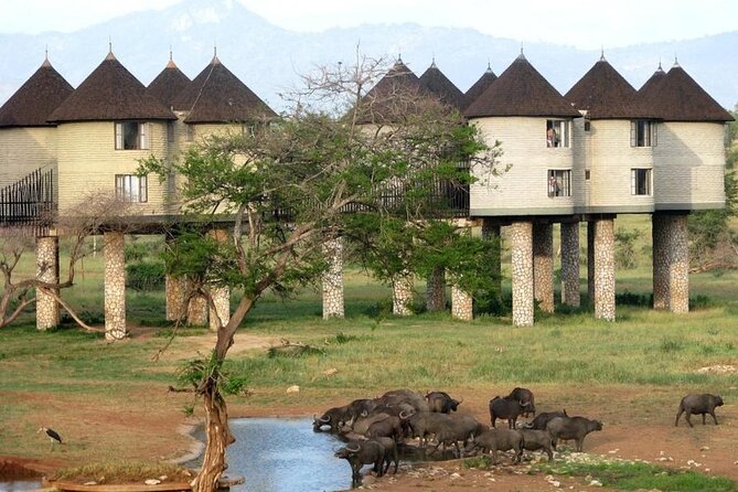 3 Days 2 Nights Safari to Saltlick Lodge from Nairobi - Day 1 from Nairobi to Tsavo West, with lunch at Taita Hills