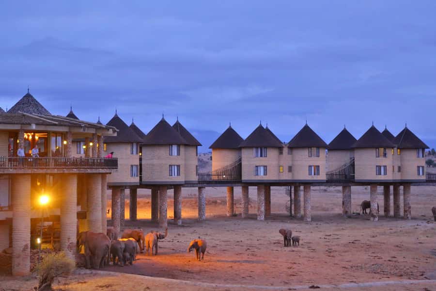 3 days 2 nights saltlick safari from diani/mombasa - Key Things I Would Not Skip