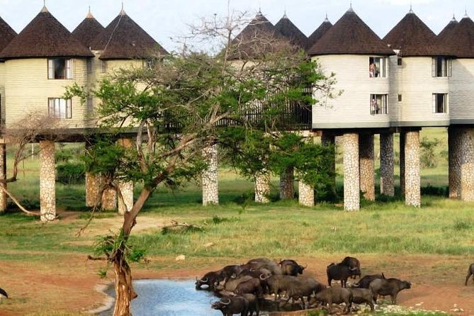 3 Days 2 Nights To Sarova Saltlick And Taita Hills - Quick things to know before you go