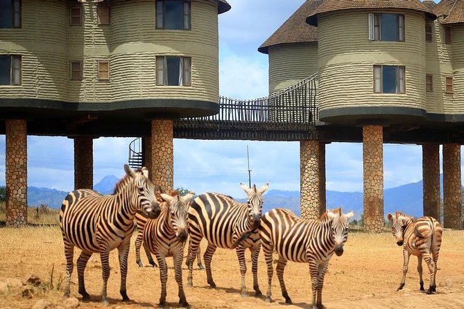 3 Days(2 nights) Tsavo East Tour & Saltlick (Cost based on minimum 2 persons) - Tsavo East from Mombasa, without the usual hassle