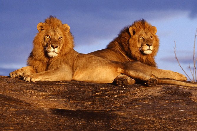 3 Days (2 nights); Tsavo East & West Safari: - Getting from Mombasa: early pickup and long road time