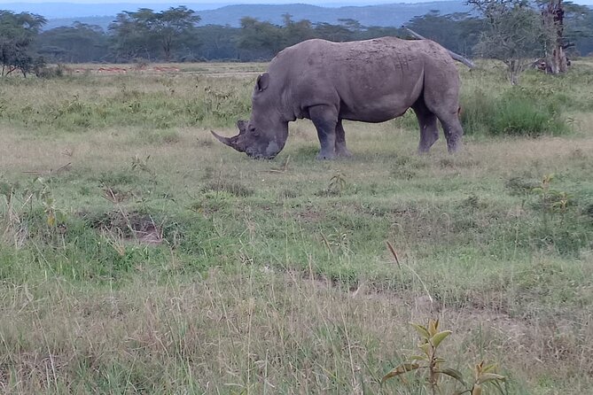 3 Days Adventure Tour in Masai Mara - What Meals Included Really Does for Your Day