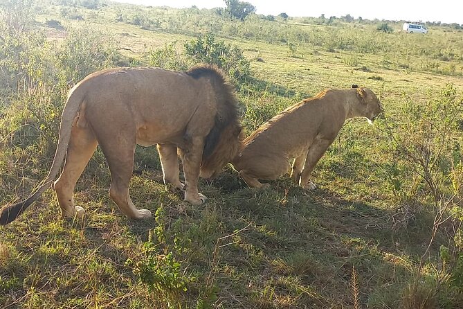 3 Days Adventure Tour in Masai Mara - Nairobi to the Rift Valley Viewpoint: First Stop, Big-View Payoff