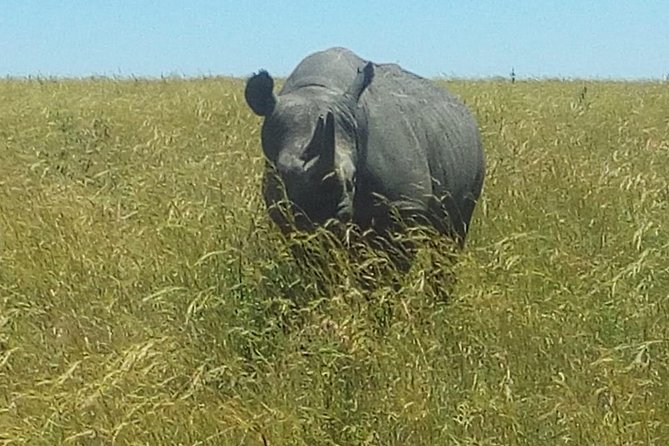 3 Days adventurous Maasai Mara Budget Group Safari - Sleeping in the Mara: tented camp comfort, hot showers, and real expectations