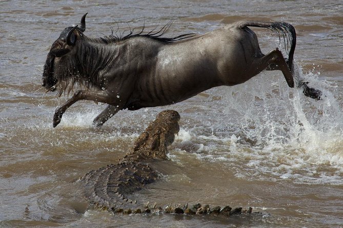 3 Days adventurous Maasai Mara Budget Group Safari - Price and value: what $850 gets you, and what it does not