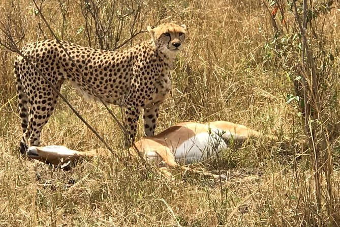 3 days Amboseli, Land of Kilimanjaro - Private game drives in Amboseli, what you actually get on the vehicle
