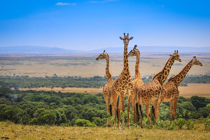 3 Days Amboseli National Park safari - Amboseli’s Kilimanjaro Views, Why They Matter