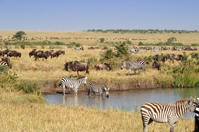 3 Days and 2 Nights Adventure in Masai Mara - Price and what you actually get for $1,280 per person