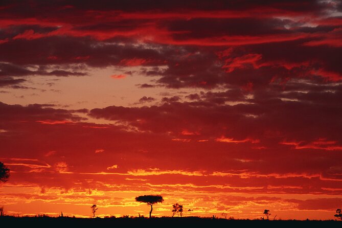 3 Days and 2 Nights Adventure in Masai Mara - Nairobi pickup and the 4x4 Land Cruiser difference