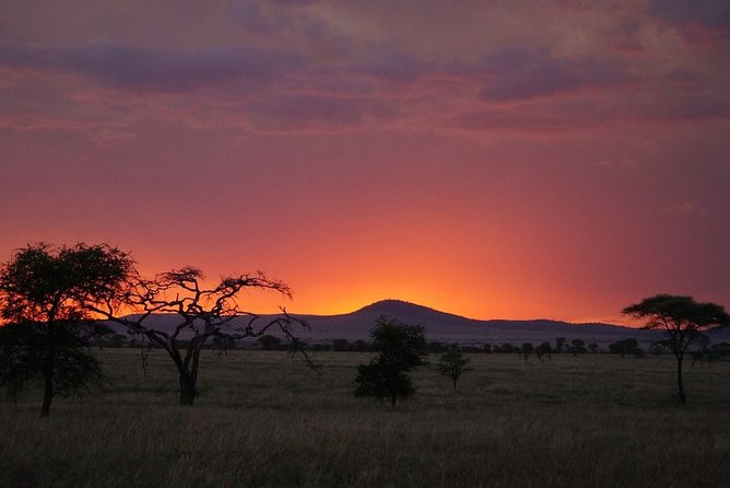 3 Days Budget Masai Mara Safari - Price and Logistics: what you pay, what you confirm