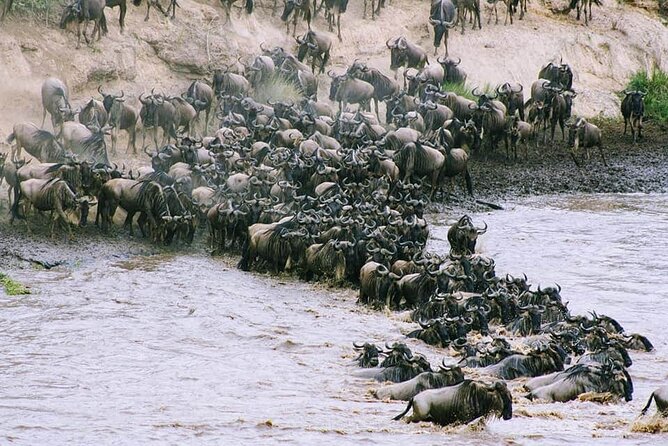 3 Days Budget Masai Mara Safari - Tented camp and meals: what inclusion really means on safari