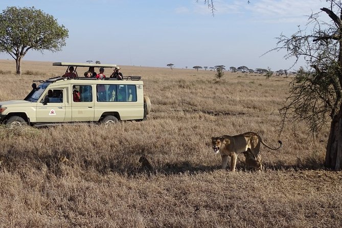 3 days group joining safari to Maasai Mara with a Land Cruiser Jeep - Day 3: Ololaimutiek, return lunch, and the Maasai village option