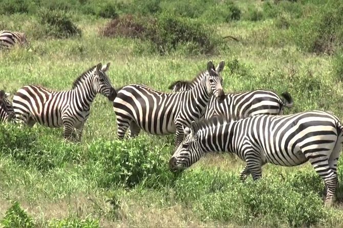 3 days group joining safari to Maasai Mara with a Land Cruiser Jeep - Day 1: Great Rift Valley stop, camp check-in, then an afternoon drive