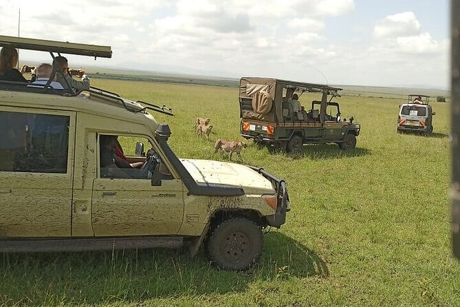 3 days group joining safari to Masai Mara with a Land CruiserJeep - Day 2 reality check: what full-day game drives feel like