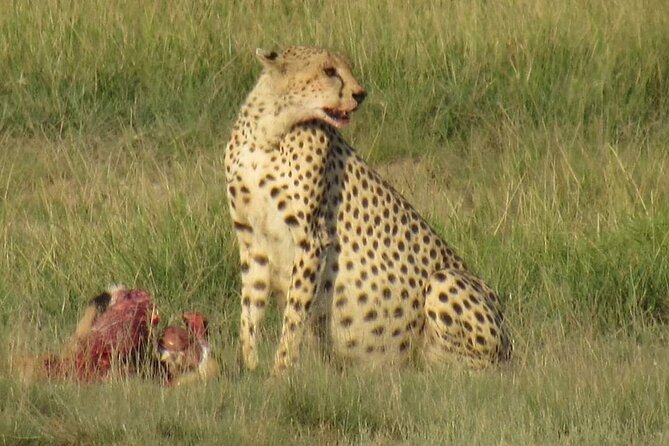 3 days group joining safari to Masai Mara with a Land CruiserJeep - Day 3: check out, optional village visit, and the ride back to Nairobi