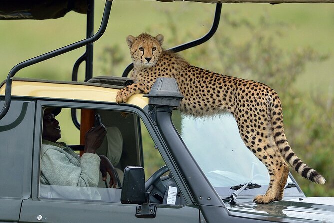 3-Days Maasai Mara Camping Safari on 4x4 Land Cruiser Jeep - Entering Maasai Mara, the practical way