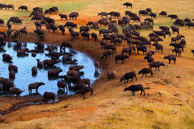 3-Days Maasai Mara Camping Safari on 4x4 Land Cruiser Jeep - Day 1: Rift Valley viewpoint, Narok lunch, and your first Mara evening drive