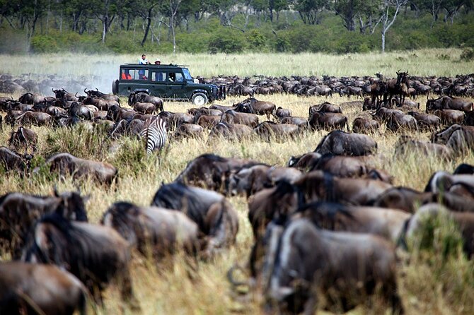 3-Days Maasai Mara Camping Safari on 4x4 Land Cruiser Jeep - Price and value: why it can work for budget travelers