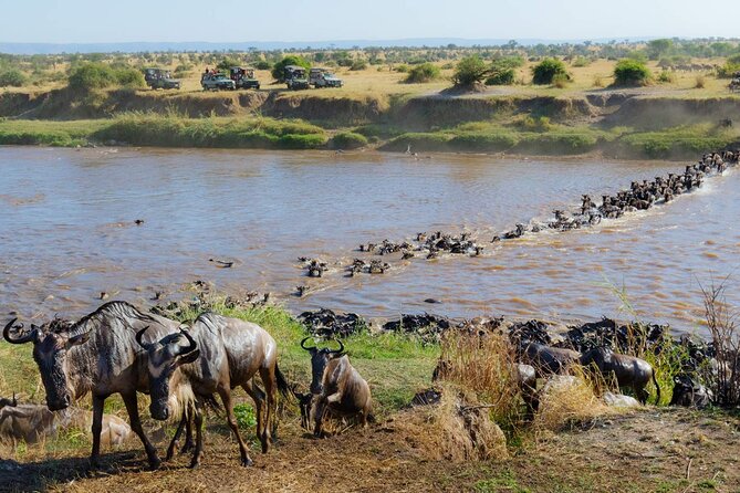 3-Days Maasai Mara Camping Safari on 4x4 Land Cruiser Jeep - Who should book this Maasai Mara camping safari