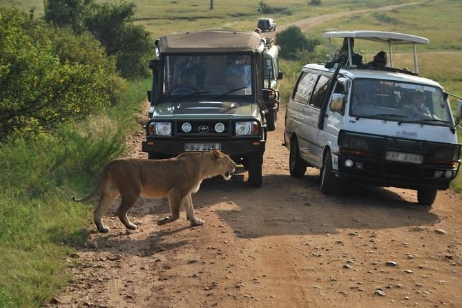 3-Days Maasai Mara Camping Safari on 4x4 Land Cruiser Jeep - Sleeping at Lenchada Tourist Camp, what included actually looks like