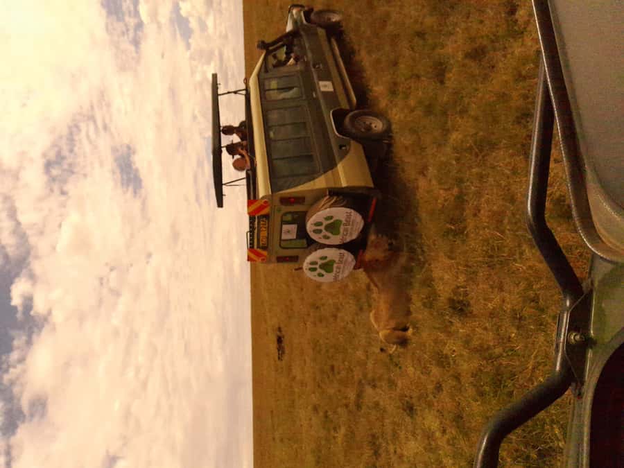 3 Days Maasai Mara Group Safari using a 4x4 Landcruiser - Entering Maasai Mara by 4x4 Land Cruiser, Not a Bus