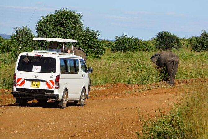 3 Days Maasai Mara Guided Safari from Nairobi - Sunset game drive and ensuite tent comfort: what you actually notice in the evenings