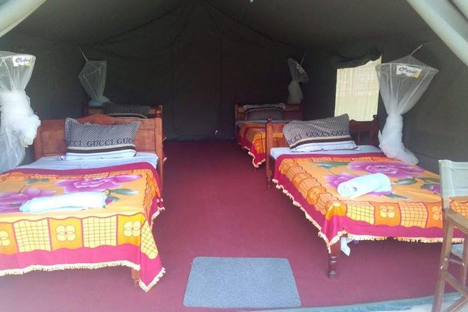 3 Days Maasai Mara Guided Safari from Nairobi - Price and park fees: where the real math comes in