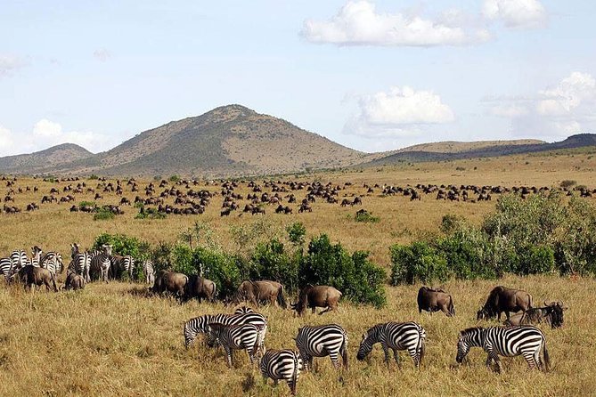 3 Days Maasai Mara Luxury Camping - Key highlights you’ll actually care about