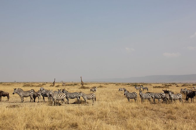 3 Days Maasai Mara Luxury Camping - Maasai Mara, and what “luxury camping” changes