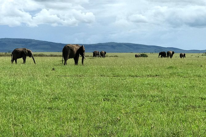 3 Days Maasai Mara Luxury Camping - Price and value: $3,980 for up to 14, and what you should count