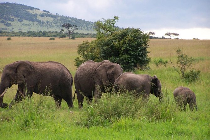 3 Days Maasai Mara Luxury Camping - Who this safari fits best, and who should think twice