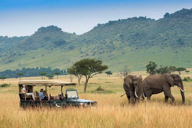3 days Maasai Mara Luxury Safari - Day 3 Early Morning Drive and the Return to Nairobi by 4 PM