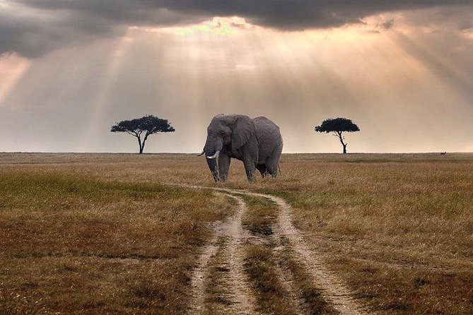 3 days Maasai Mara private Lodge safari at Keekorok from Nairobi - Keekorok lodge nights and the meal plan that keeps you sane