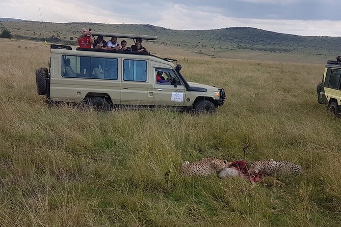 3 Days Maasai Mara Private Safari - Day 2 full-day Mara safari: a real wildlife day