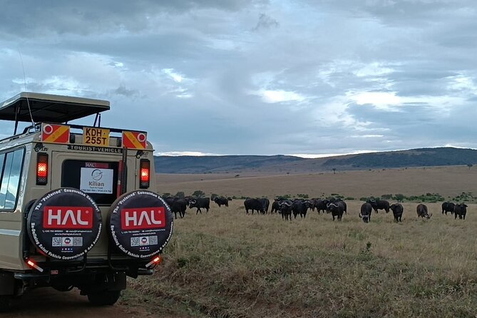 3 Days Maasai Mara Private Safari - What the $1,000 price covers, and why it can be fair