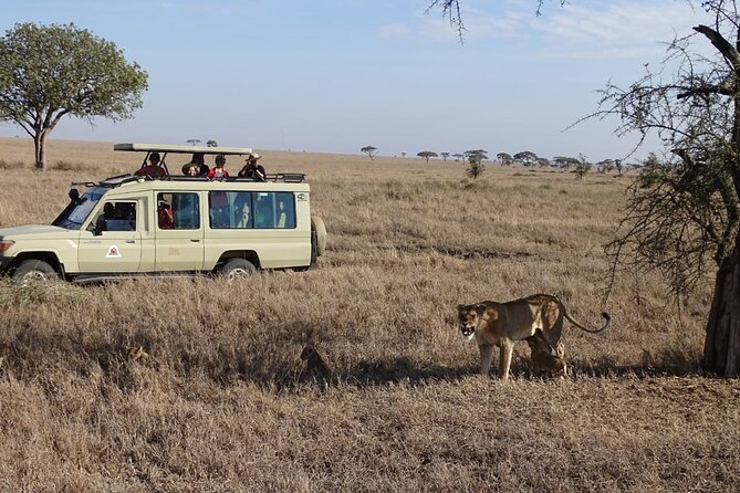 3 Days Maasai Mara Small Group Safari in a 4 x4 Land Cruiser Jeep - Why a 3-day Maasai Mara Land Cruiser safari can be a smart value