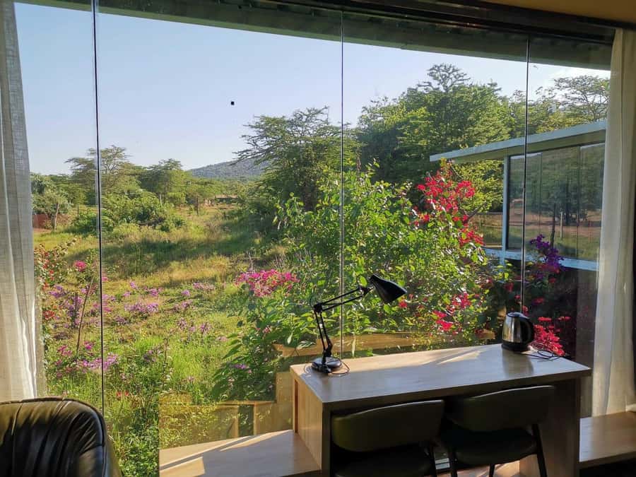 3 Days Maasai Mara Small Group Safari- Jambo Mara Lodge - Should You Book This Maasai Mara Safari?