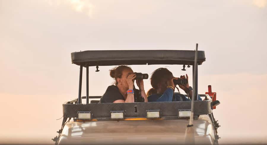 3 Days Maasai Mara Small Group Safari- Jambo Mara Lodge - Day 1 at Jambo Mara Lodge: Check-In, Lunch, and a Sunset Hunt for Lions
