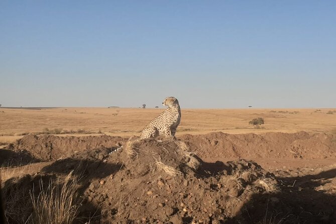 3-Days Maasai Mara unforgettable Adventure- Jeep Private Safari - Price and Value: What $1,892.31 per Person Really Covers